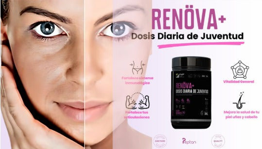 COLAGENO  RENOVA+